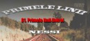 01.Nessi - Primele linii [INTRO]